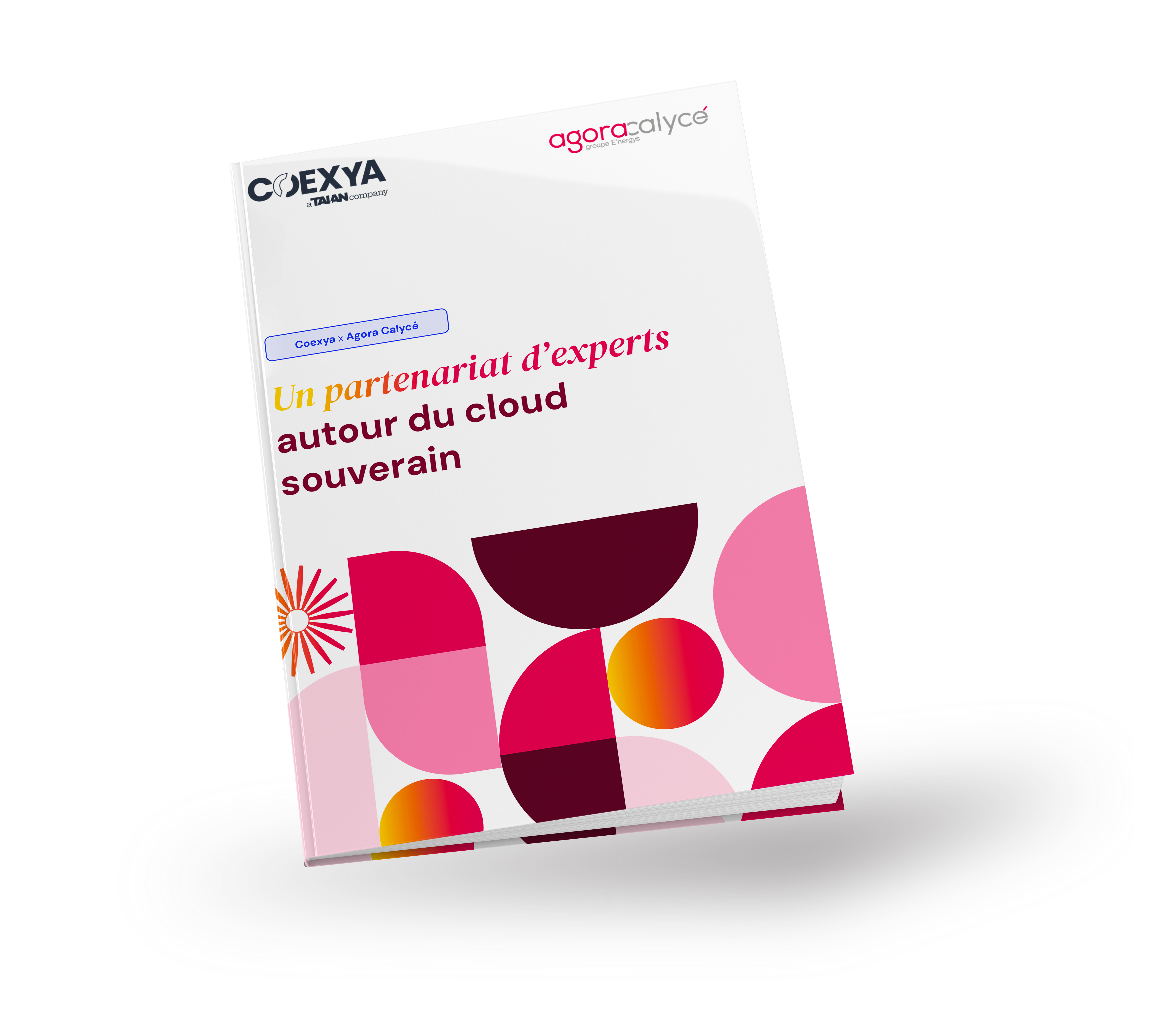 2025_AgoraCalyce_Coexya_Cover (1)