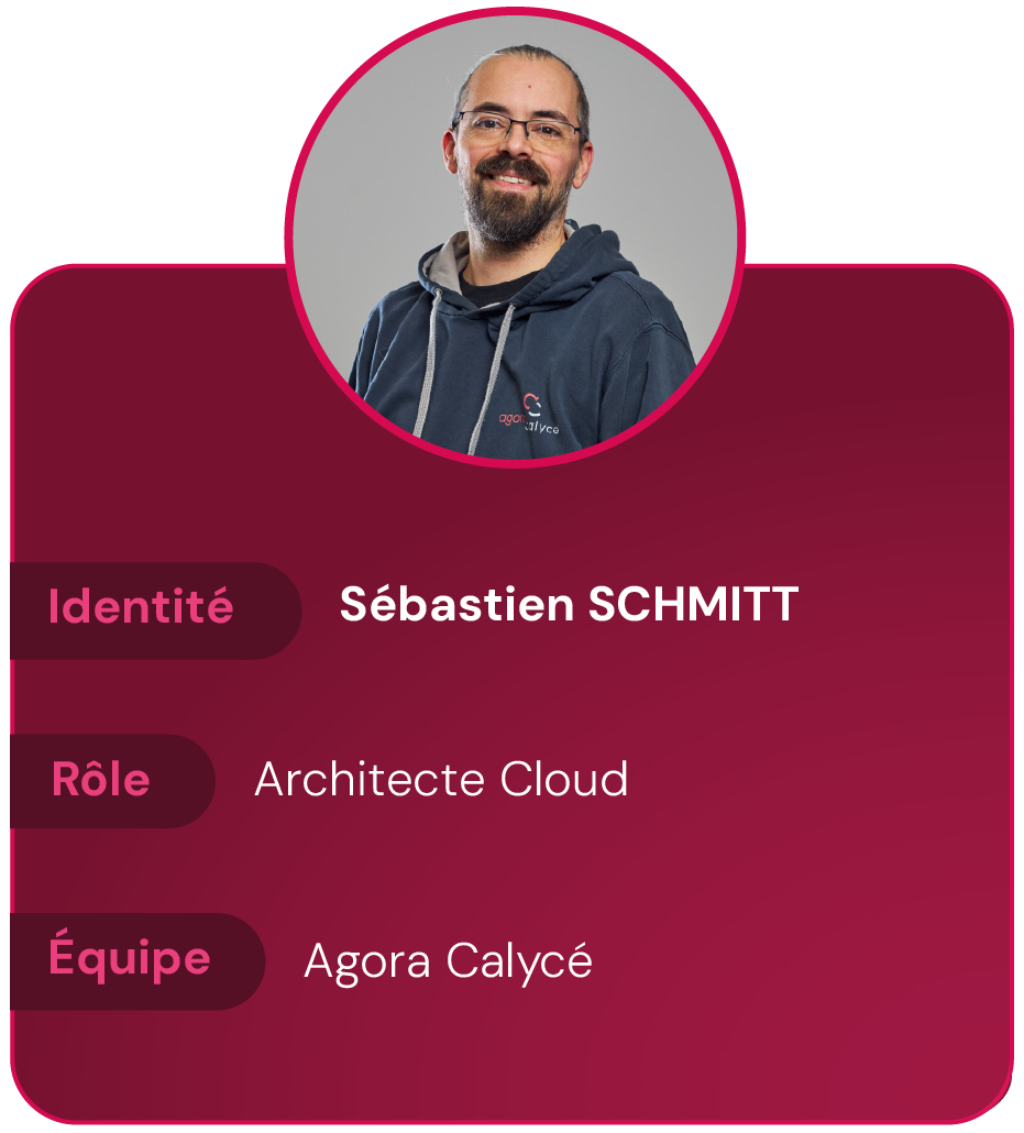 Perso Coexya_intégration LP_SS